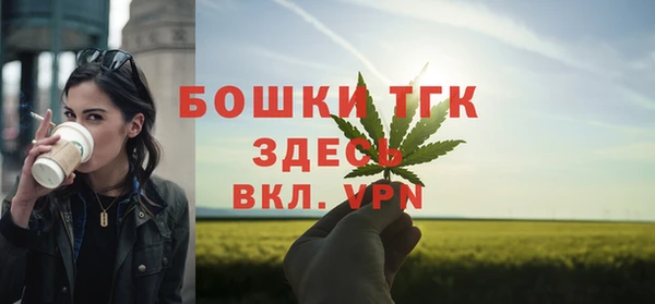 дживик Вязьма