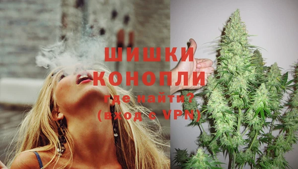 дживик Вязьма