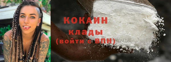 дживик Вязьма