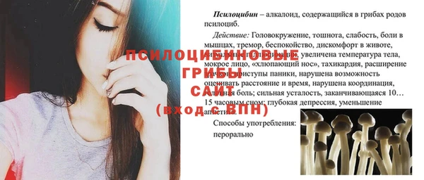 дживик Вязьма