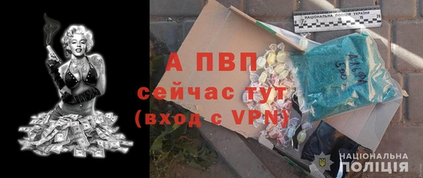 дживик Вязьма